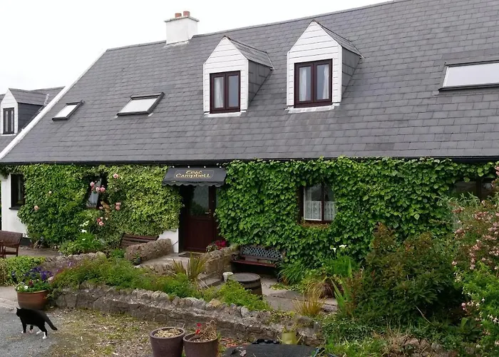 Teac Campbell ゲストハウス