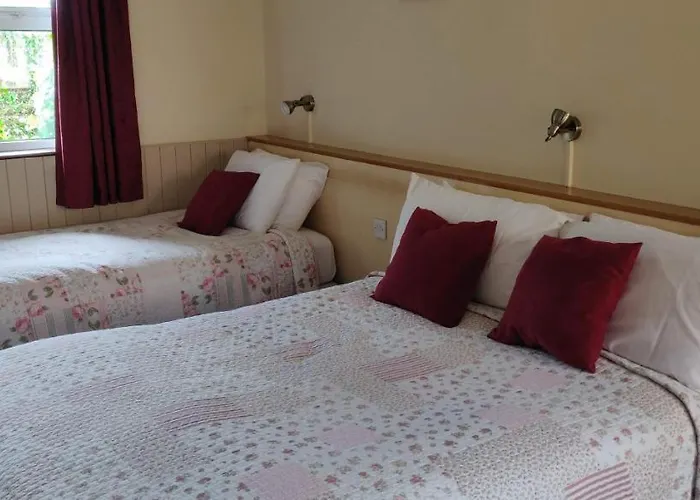 Teac Campbell ゲストハウス